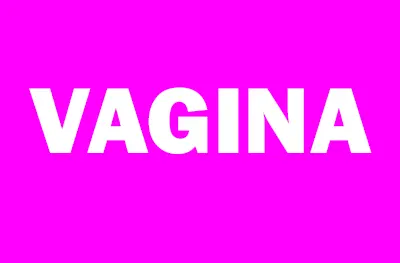 the word "vagina" on a pink background